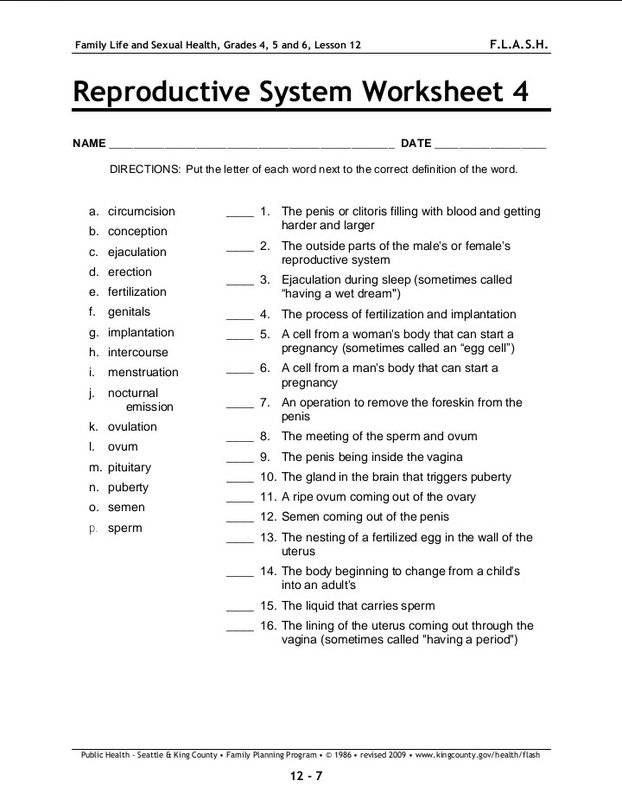 The Reproductive System Worksheet Answer Key